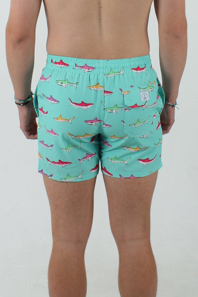 QSSS/ANCHBOY GEN-Men's Anchor Boys Sharks Volley