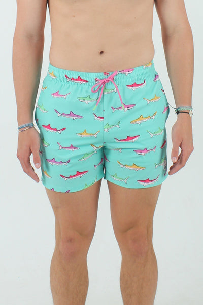 QSSS/ANCHBOY GEN-Men's AQUA / S Anchor Boys Sharks Volley