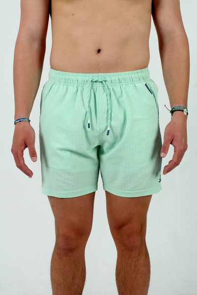 QSSS/ANCHBOY GEN-Men's LICHEN / S Anchor Boys 17" Seersucker Volley Shorts