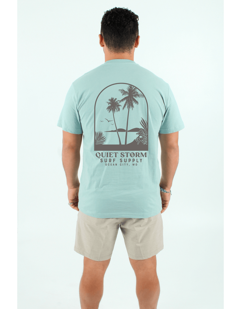 QSSS/PP Unisex DUSTY SAGE / S Palm Window Short Sleeve Tee