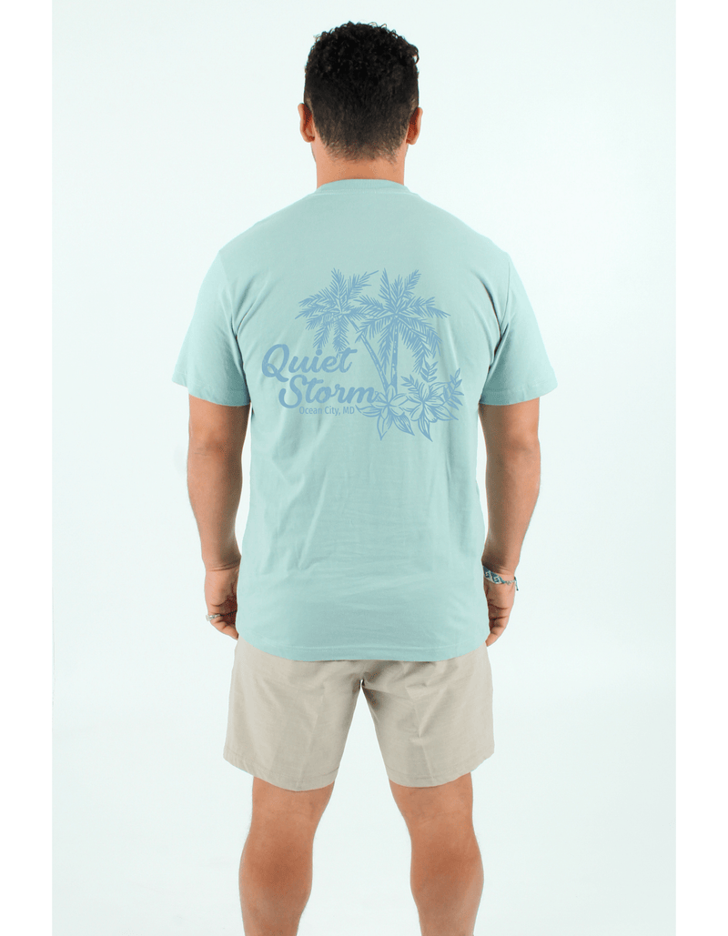 QSSS/PP Unisex DUSTY SAGE / S Tropical Soul Short Sleeve Tee